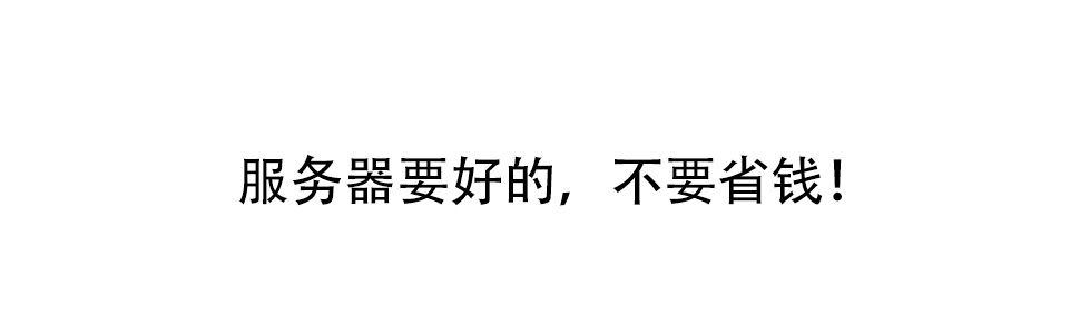 SEO服務(wù)器很重要